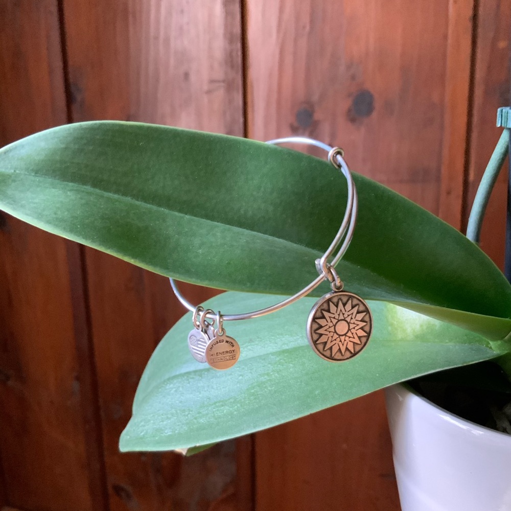 Alex & Ani Charm Bracelet